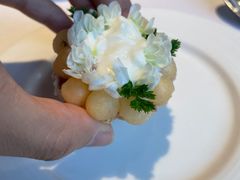 -蝶舍·MAISON PAPILLON