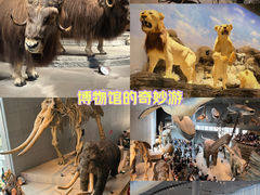 -自然博物馆(地铁站)