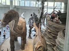 -Behring World of Animals(上海自然博物馆店)