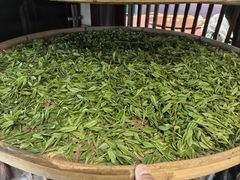 -阿巧茶庄