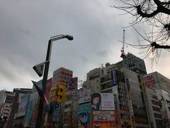 -秋叶原电器街