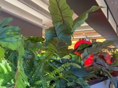 -辛香汇·现炒川菜(城北万象城店)