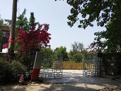 -三圣花乡旅游区