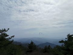 -王顺山国家森林公园