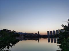 -美的鹭湖森林度假区
