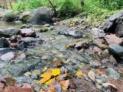 -云岫谷游猎自然风景区