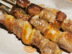 咸盐烤羊肉串-丝路有约·西域美食