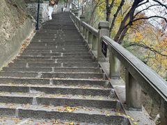 -白帝城·瞿塘峡景区