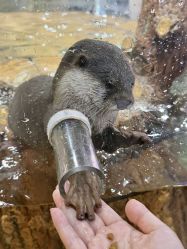 -Zoolung Zoolung动物主题公园(海信广场店)