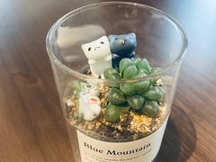 -Fridi Patisserie Cafe