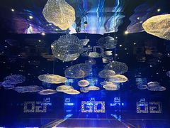 -盒马X会员店(上海森兰商都店)