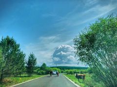 -塞罕坝国家级自然保护区