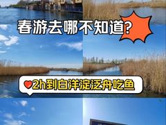 -白洋淀景区