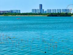 -金沙湖旅游度假区