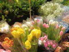 -循礼门鲜花花市(武汉循礼门店)