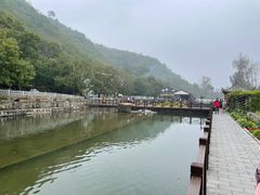 -荷塘味道(水长城店)