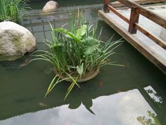 -阳春市花园酒店