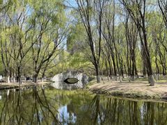 -长白岛森林公园