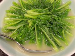 -龙井草堂