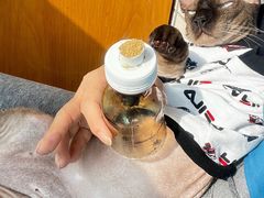 -虹泰宠物医院 ·旗舰店·24h(南秀路店)
