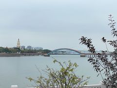 -五缘湾湿地公园