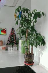 点击看大图 -荟草堂痘肌修护中心