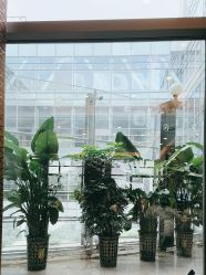 点击看大图 -空中一号·宴会厅(信合大厦店)