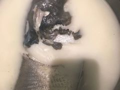 泉水鱼头煲-小厨娘淮扬菜(六合欢乐港店)