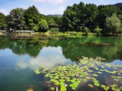 -永泉忆江南12景区