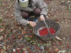 -南窖乡水峪村山情农家