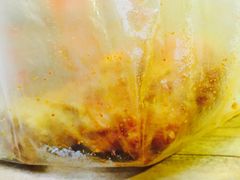 -潘太师炸鸡腿(中茵海华广场店)