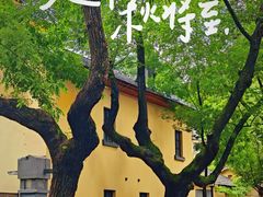 -雅酌园·烟火南京菜(颐和路店)