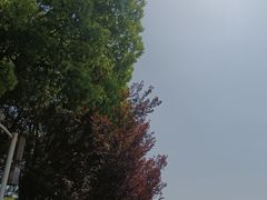 -美兰湖景区
