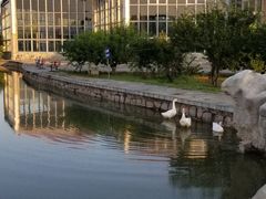 -红栌温泉山庄生态美食餐厅