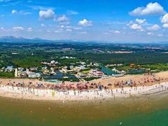 -日照海滨国家森林公园