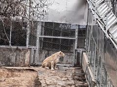 -石家庄市动物园