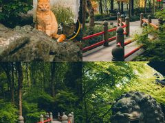 -灵隐飞来峰景区