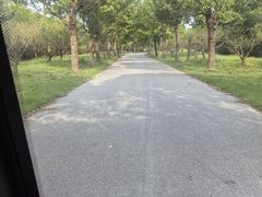 -上海海湾国家森林公园