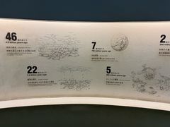 -日本科学未来馆