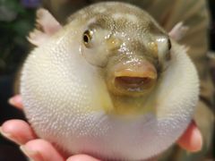 -永安鱼庄·镇江菜(东吴路店)