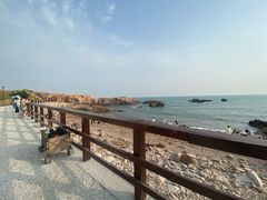 -小麦岛公园