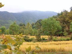 -塔川景区