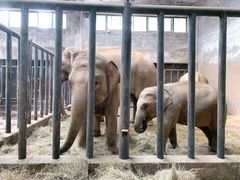 -石家庄市动物园