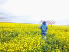 -青海湖国家重点风景名胜区
