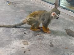 -西安秦岭野生动物园