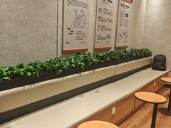 -野人先生现做冰淇淋(北京环宇荟店)