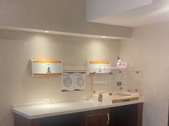 -宠爱国际动物医院·消化内科·心肾内科·ISFM猫友好(望京店)