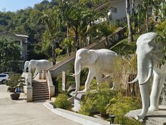-华宁象鼻温泉旅游文化度假区