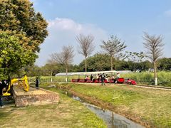 -长洲岛都市农业公园