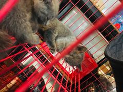 -第三空间·趣味桌游·轰趴.室内CS.剧本杀(大武汉1911店)